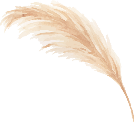 Pampas Grass Illustration 